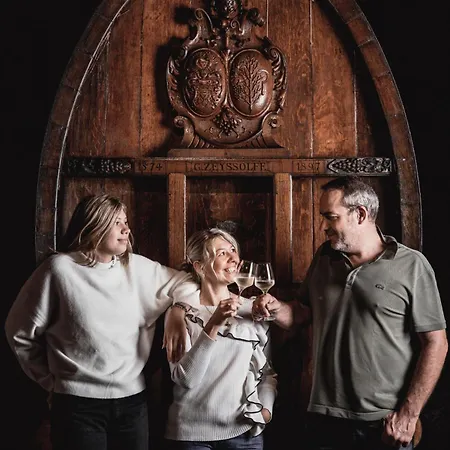 Maisonnette Dans Domaine Viticole - Vins Zeyssolff Διαμέρισμα *