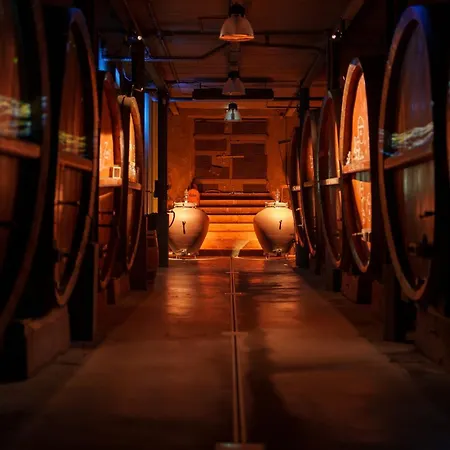 Maisonnette Dans Domaine Viticole - Vins Zeyssolff